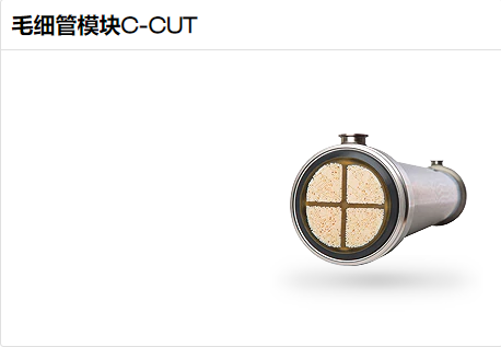 毛細管模塊C-CUT.png